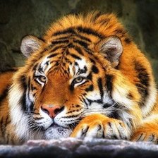 Схема вышивки «№720266»