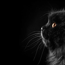 Схема вышивки «Тот же только в профиль»