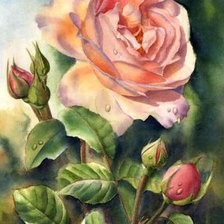 Схема вышивки «розы»