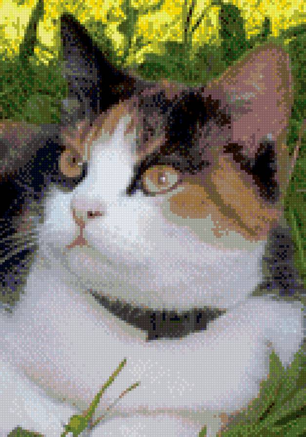 Киска 2 - предпросмотр