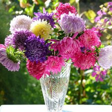 Схема вышивки «астры»