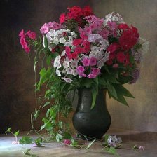 Схема вышивки «флоксы»