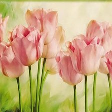 Схема вышивки «Тюльпаны»
