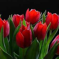 Схема вышивки «№720812»