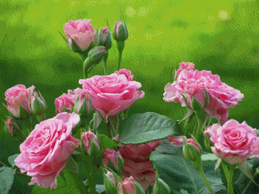 №720813 - предпросмотр