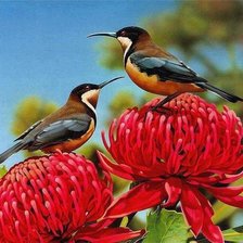 Схема вышивки «№720819»