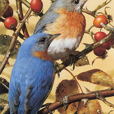 Схема вышивки «№720837»