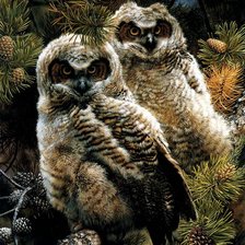 Схема вышивки «№720841»