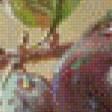 Предпросмотр схемы вышивки «75 % виноград с кувшином» (№720878)