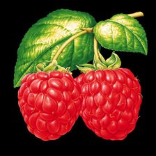 Схема вышивки «Подушка»