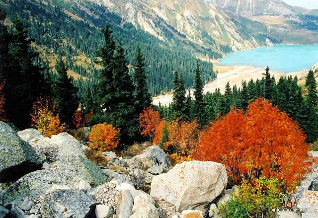 уголки природы - природа - оригинал