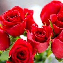 Схема вышивки «№721057»