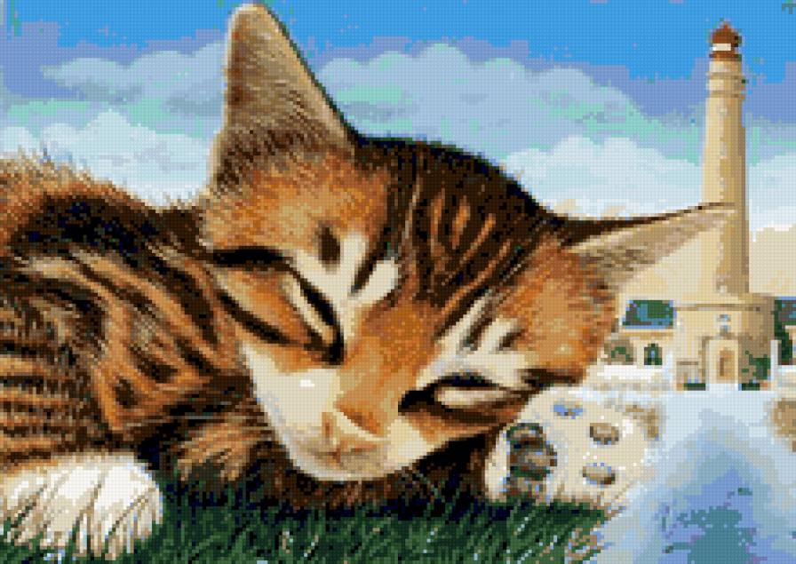 Кошачии мир 1 - предпросмотр