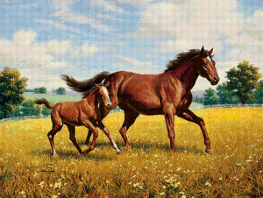 Лошадь и жеребенок - предпросмотр