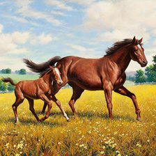 Лошадь и жеребенок