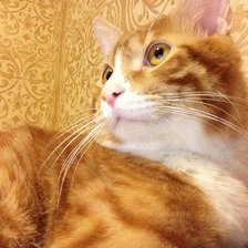 Схема вышивки «Тимофей»