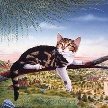 Схема вышивки «Кошачии мир 14»