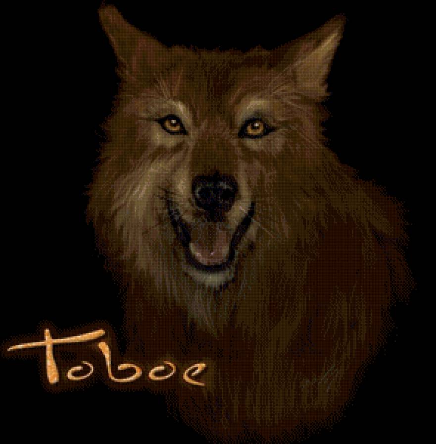 Toboe - волк, аниме, волчий дождь - предпросмотр