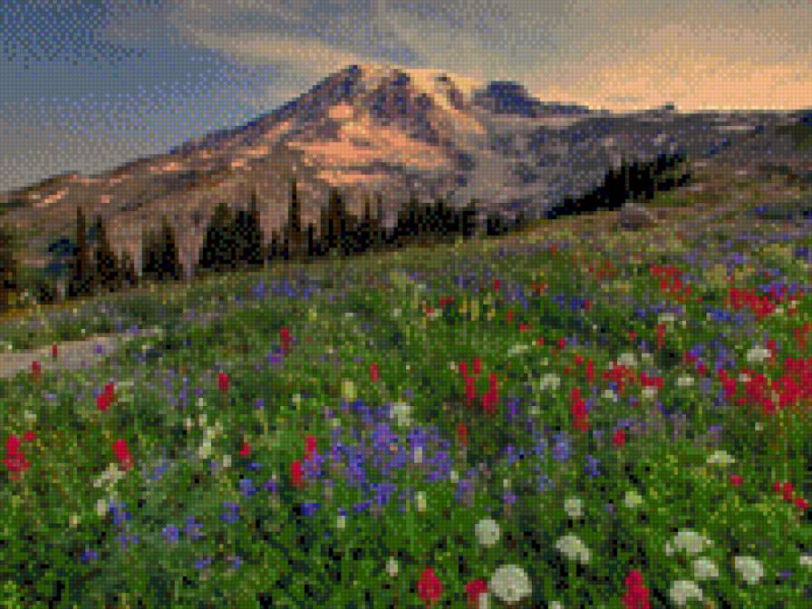 fiori - цветы, гора, поле, природа - предпросмотр