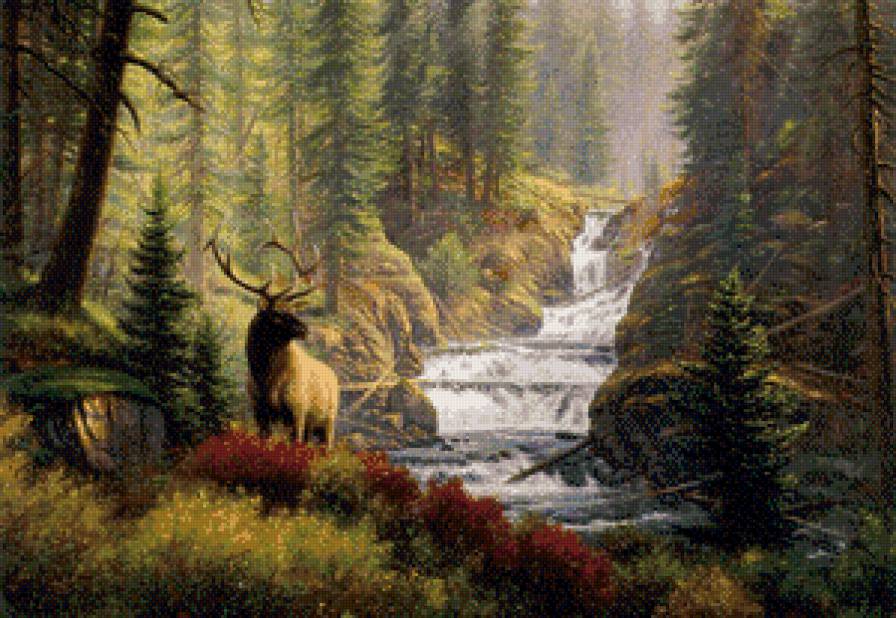 картина марка китли - животные, природа, пейзаж - предпросмотр