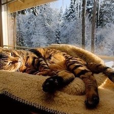 Схема вышивки «Мороз и солнце...»