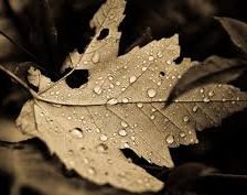 Схема вышивки «Осень»