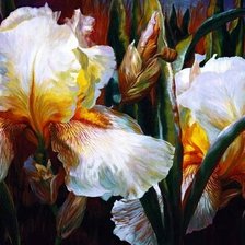 Схема вышивки «акварель ELIZABETH HORNING 2»