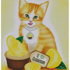 Схема вышивки «котик»