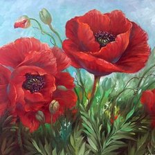 Схема вышивки «маки»