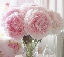 Схема вышивки «Пионы»