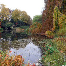 Схема вышивки «Осени очарование»