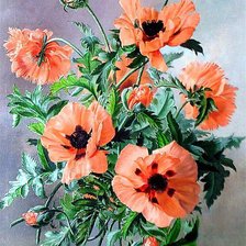 Схема вышивки «картина маки»