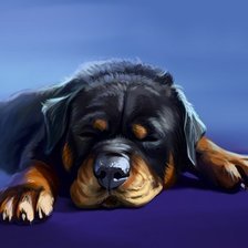 Схема вышивки «Спящий песик»