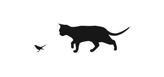 Силуэт кошки и птички - монохром. животные, птица, кошка, силуэт - оригинал