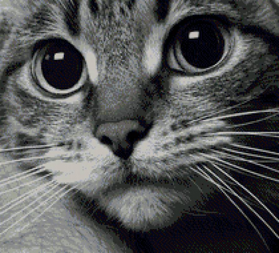 №722538 - предпросмотр