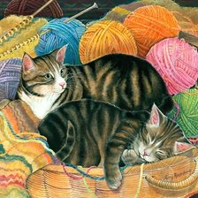 нашли теплое местечко