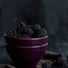 Схема вышивки «ежевика»