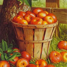 Схема вышивки «яблука»