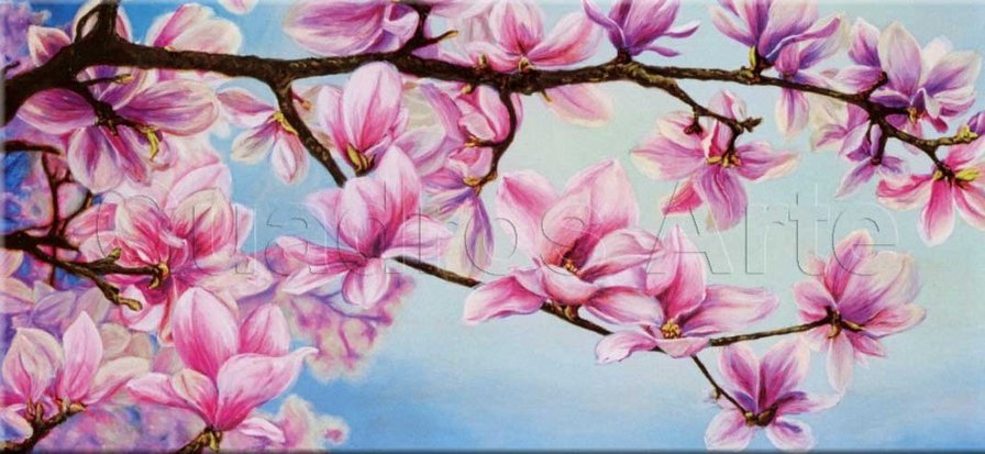 magnolias - magnolias - оригинал