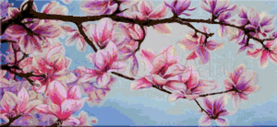 magnolias - magnolias - предпросмотр