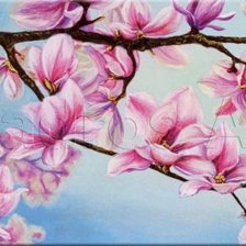 Схема вышивки «magnolias»