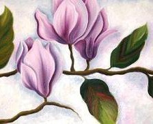 magnolias