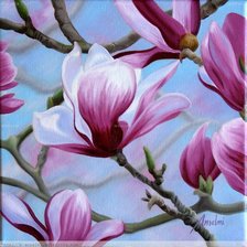 Схема вышивки «magnolias»