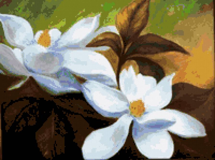 magnolias - magnolias - предпросмотр