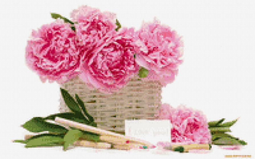 пионы - букет, пионы, цветы - предпросмотр