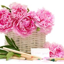 Схема вышивки «пионы»