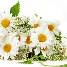 Схема вышивки «букет»