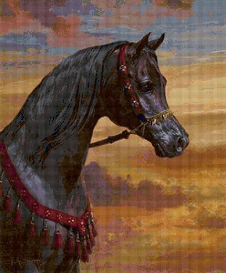 Вороной - животные, природа, лошади - предпросмотр