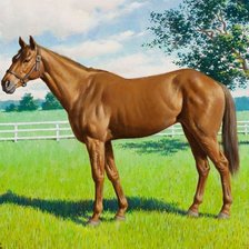 Схема вышивки «Лошадка»