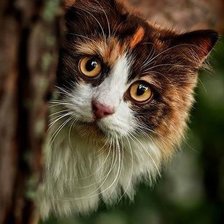 Схема вышивки «№722989»